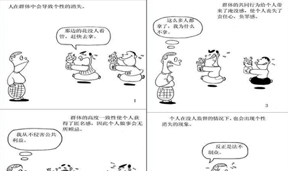 群体与个体